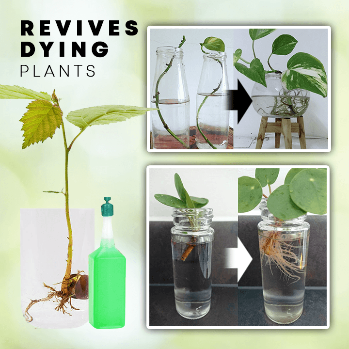 ™ Plant Liquid Fertilizer