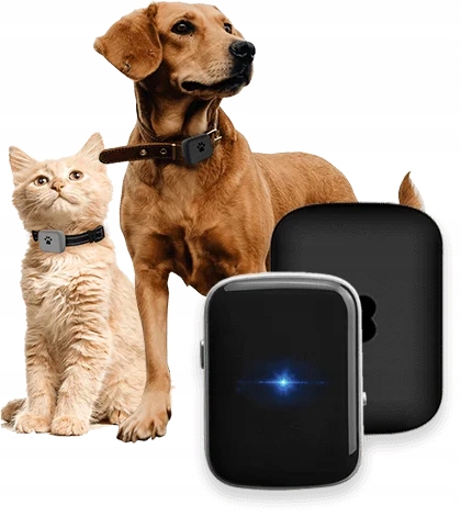 LOKALIZATOR GPS DLA PSA opcja przywołania LOCON DOG MAX + APLIKACJA 12MCY Głębokość produktu 1.3 cm