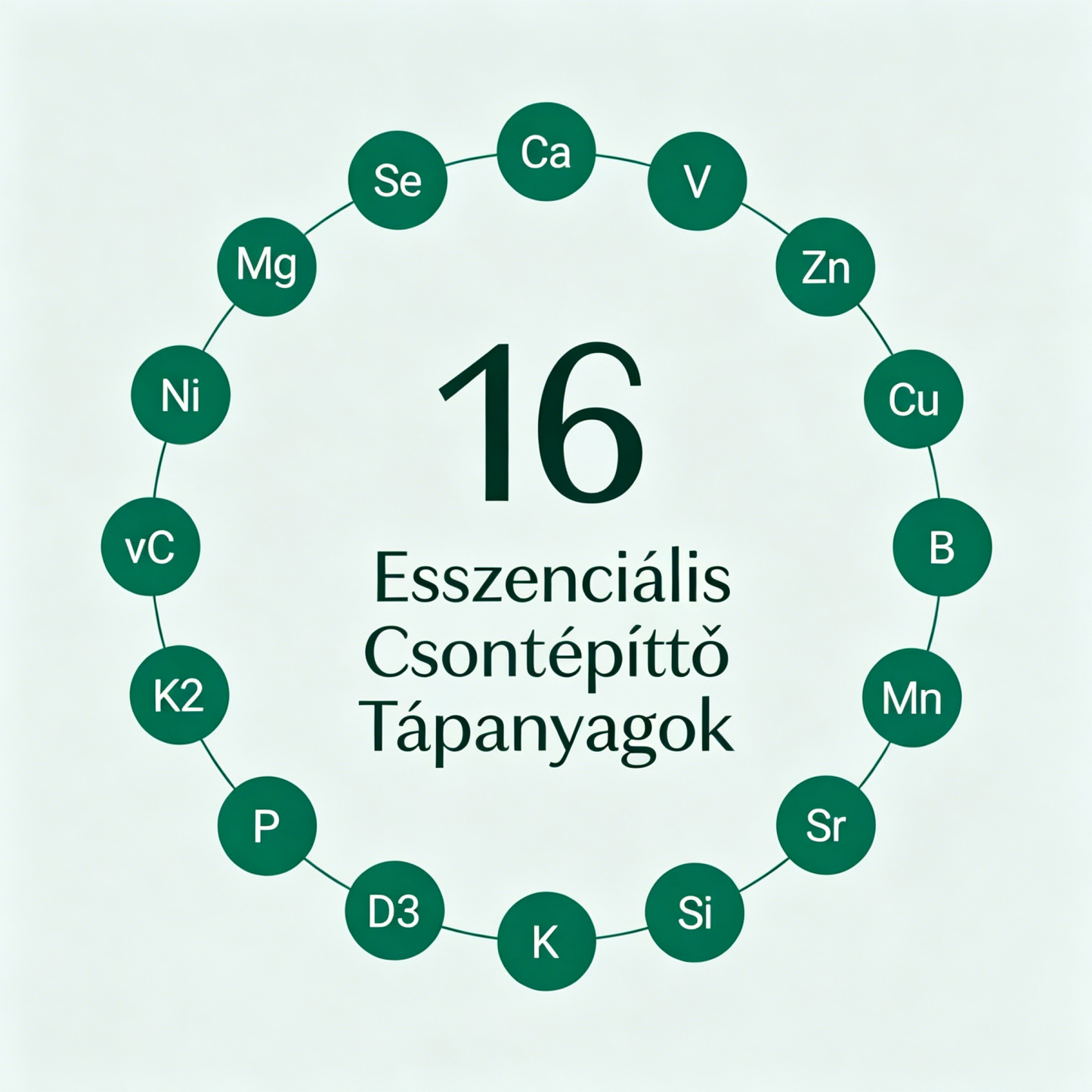 [Copy]Hormonális egyensúly támogatása - Táplálkozási támogatás PCOS esetén