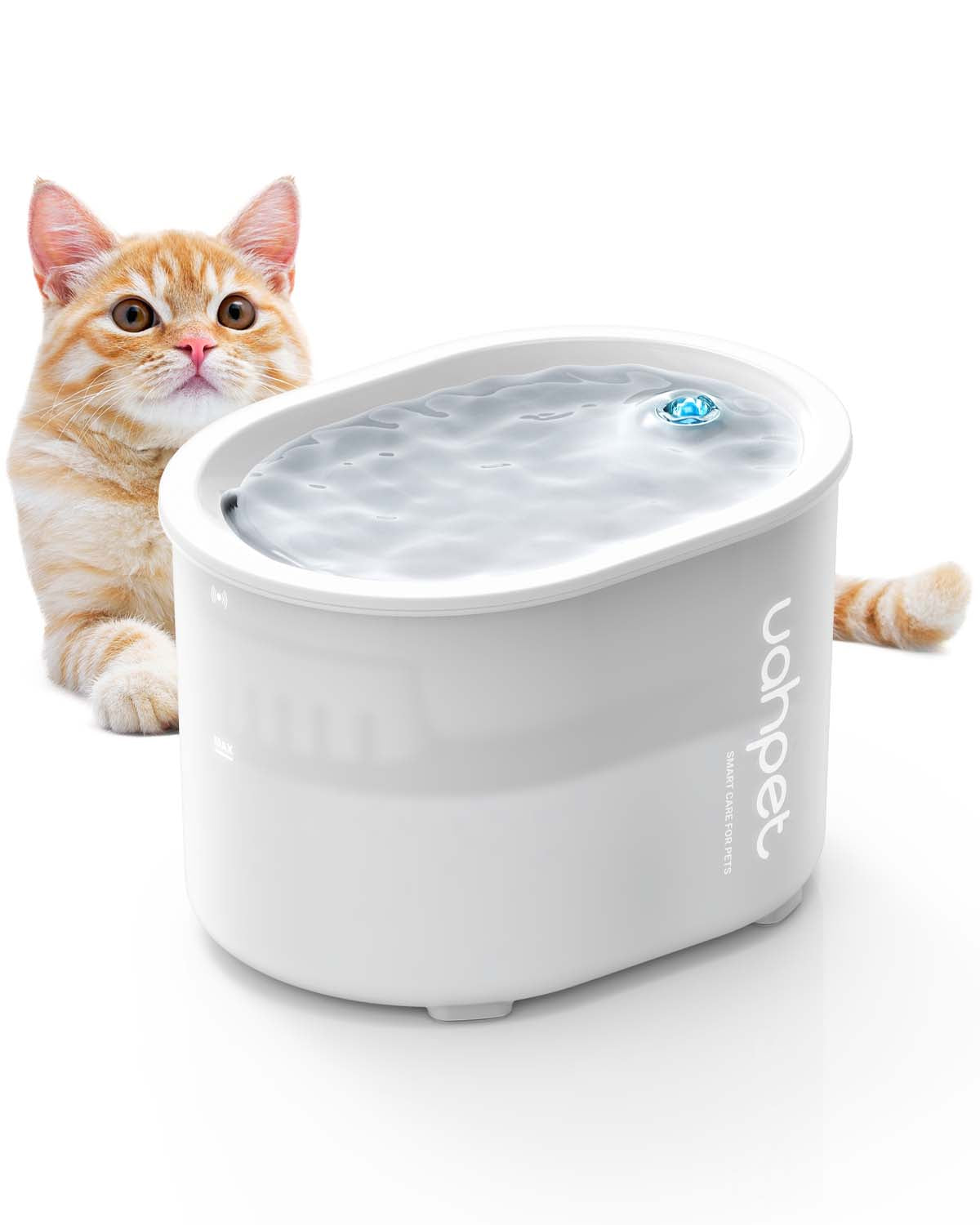 Wireless store cat fountain