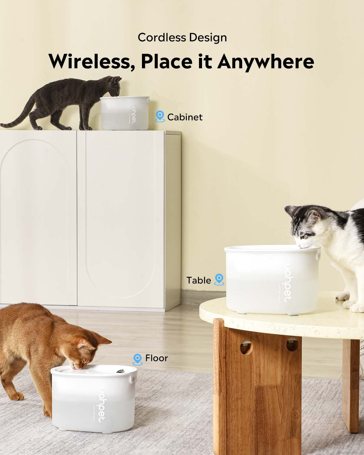 Cordless cat 2024 water fountain