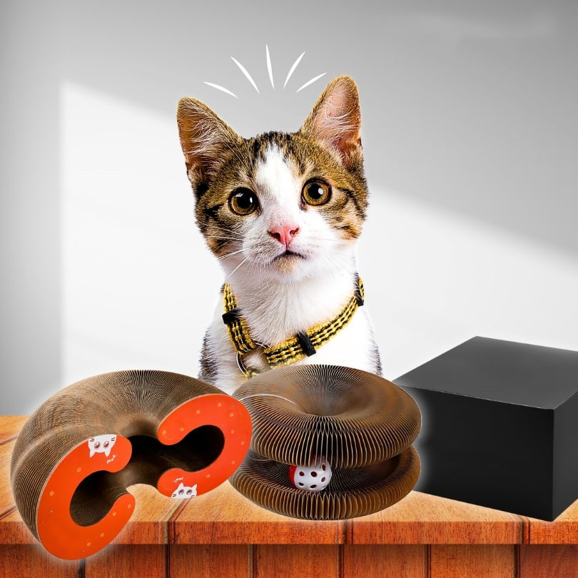 Creative Shape-Changing Cat Scratching Board - Voted #1 Toy By Over 1300+ Cat Families