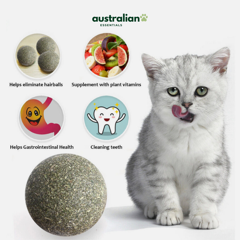 Catnip Delight Ball