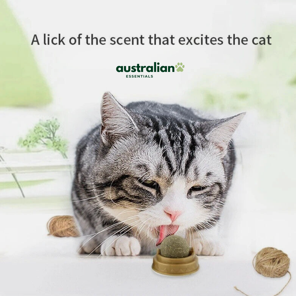 Catnip Delight Ball