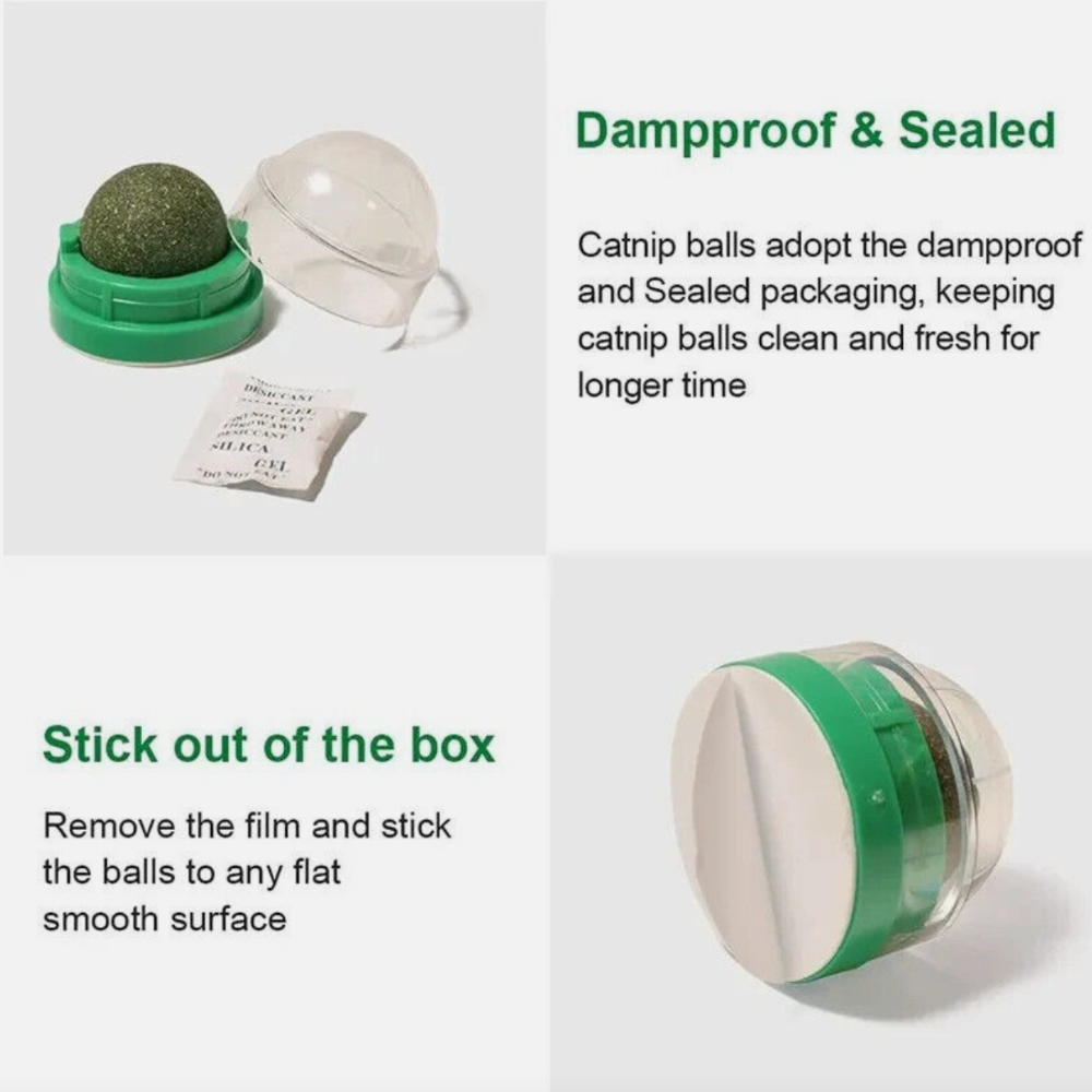 Catnip Delight Ball