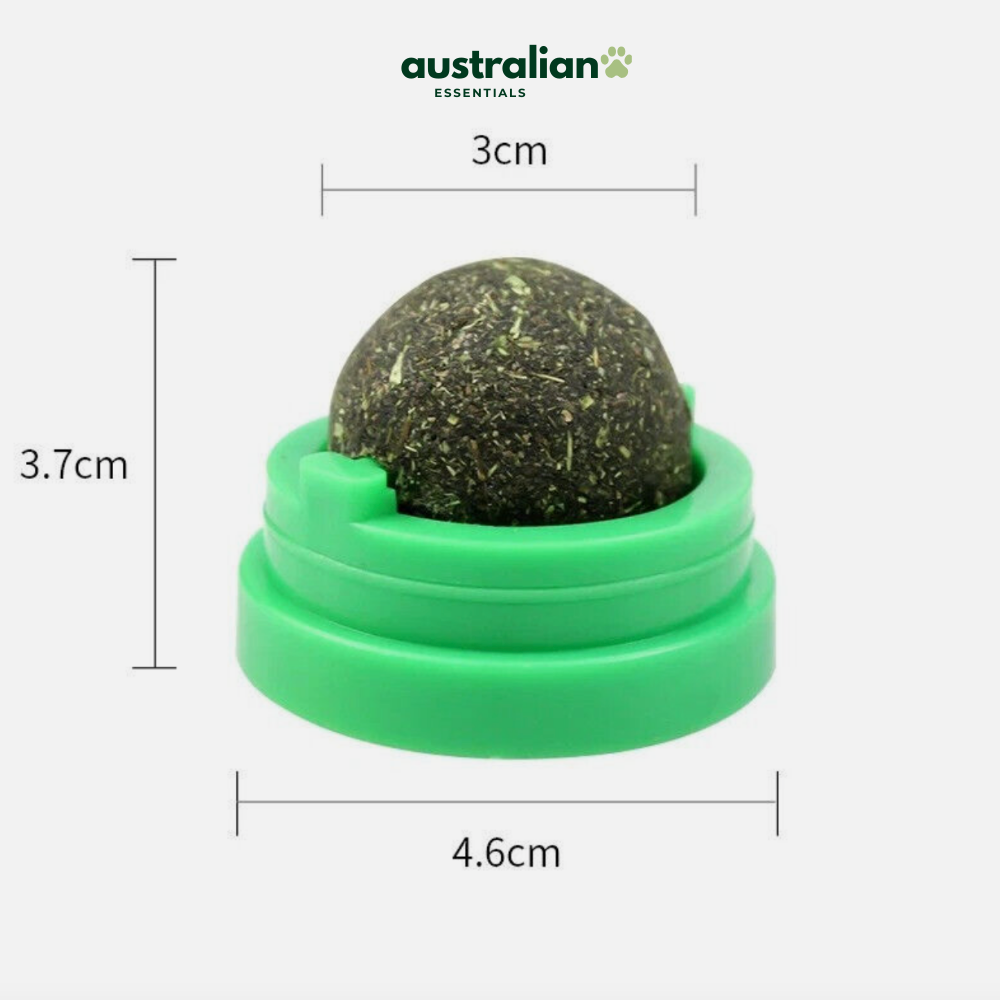 Catnip Delight Ball