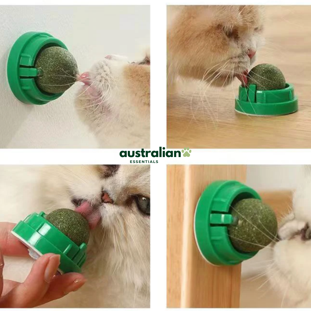 Catnip Delight Ball
