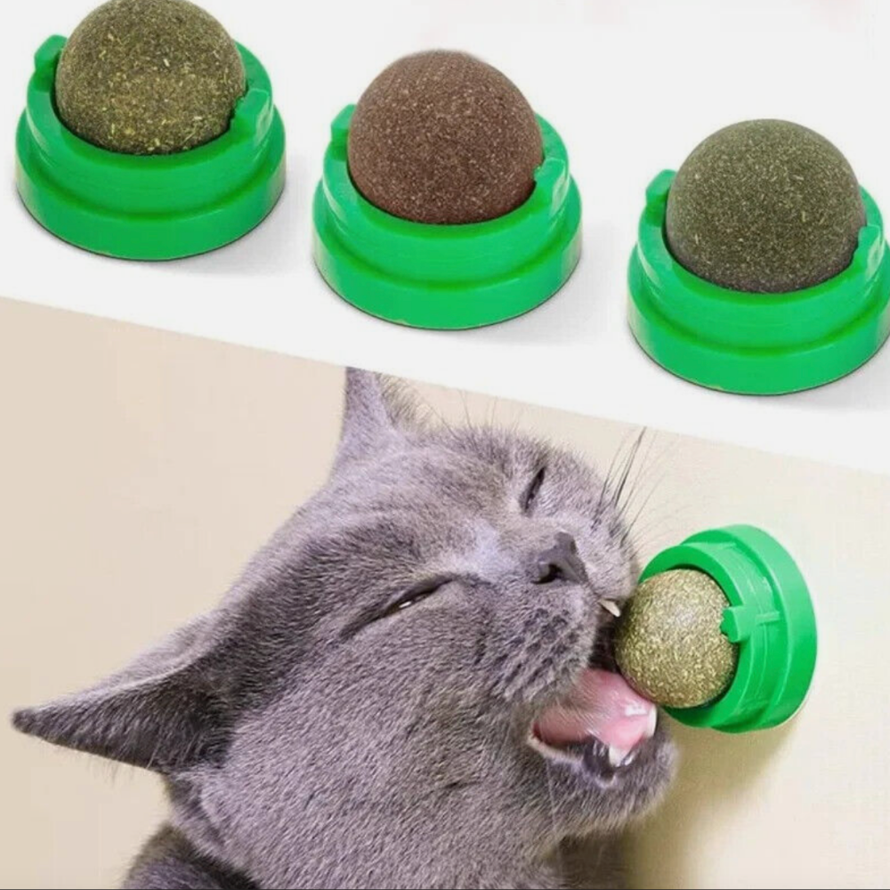 Catnip Delight Ball