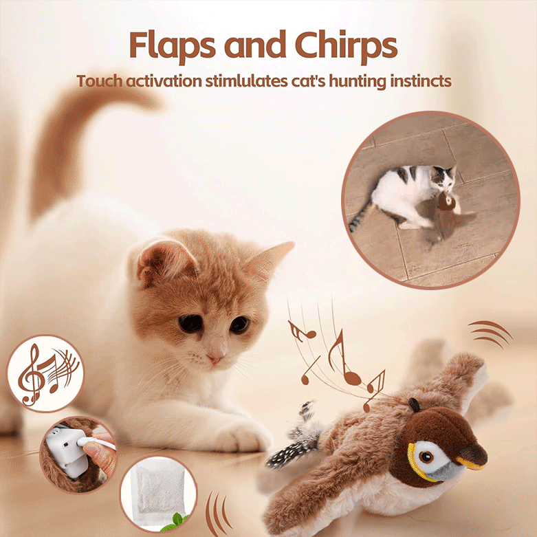Interactive Chirping Bird That Stimulates Cats' Hunting Interest, No Batteries Required, Usb Charging