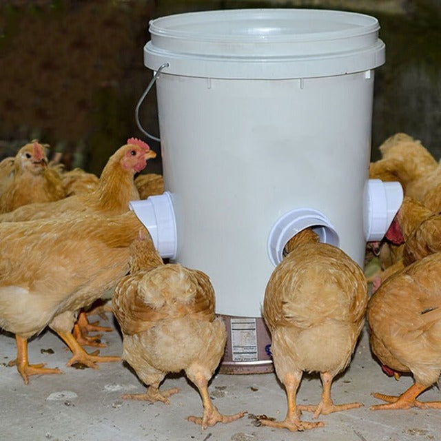 (🔥2024 New Year Hot Sale  30% OFF) Automatic Poultry Feeder