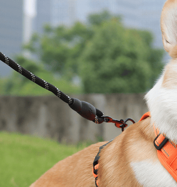 No Pull Dog Harness for Pets