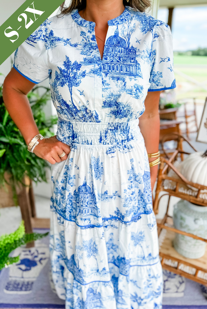 white christmas dresses Diana Blue Toile Maxi Dress – Confête main image 0