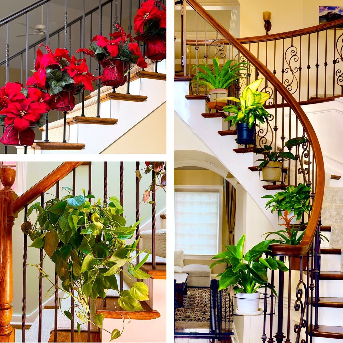 Last Day 49% OFF -  Floating Railing Planter - Plant Clip