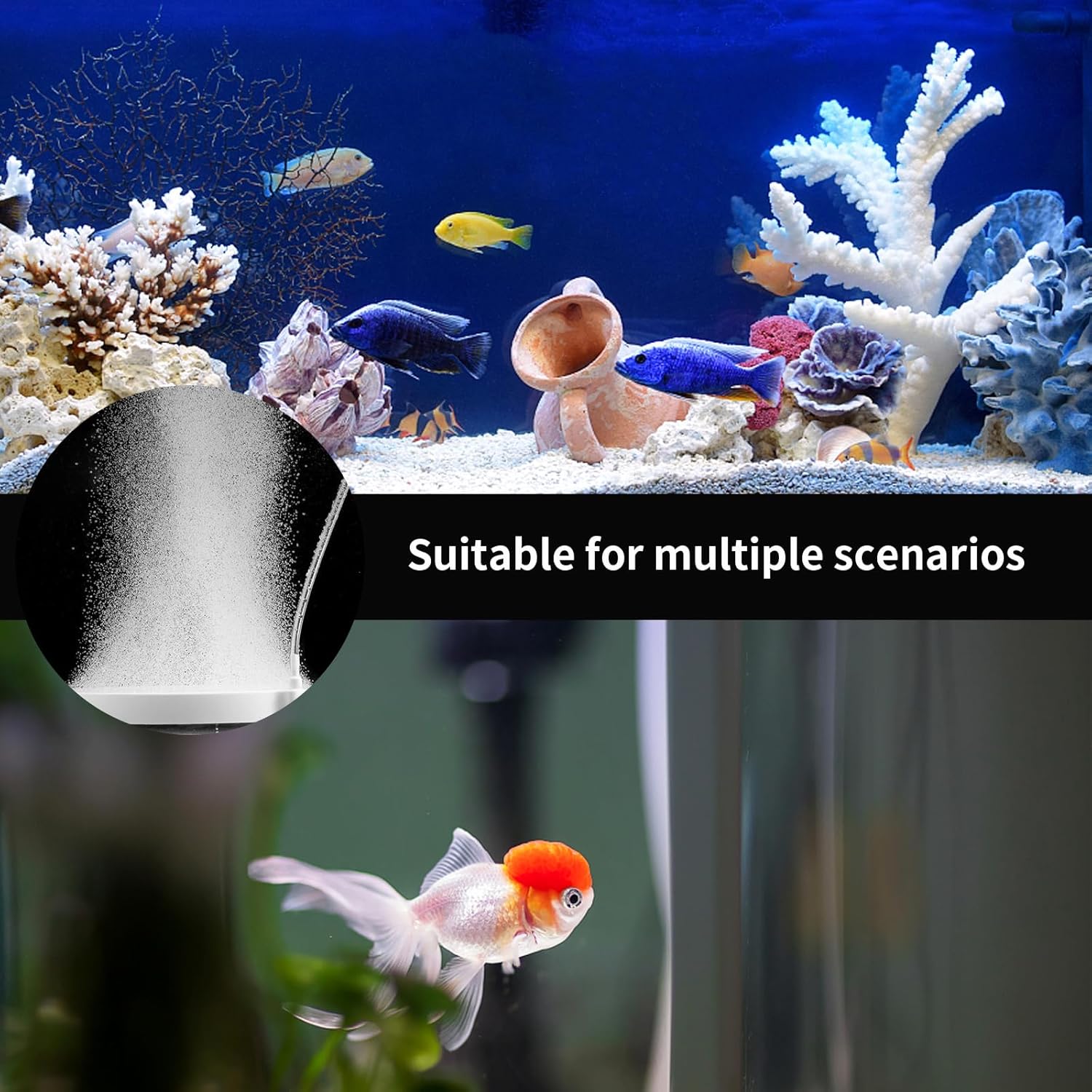 Adjustable Mini Pool Oxygen Pump with USB Port