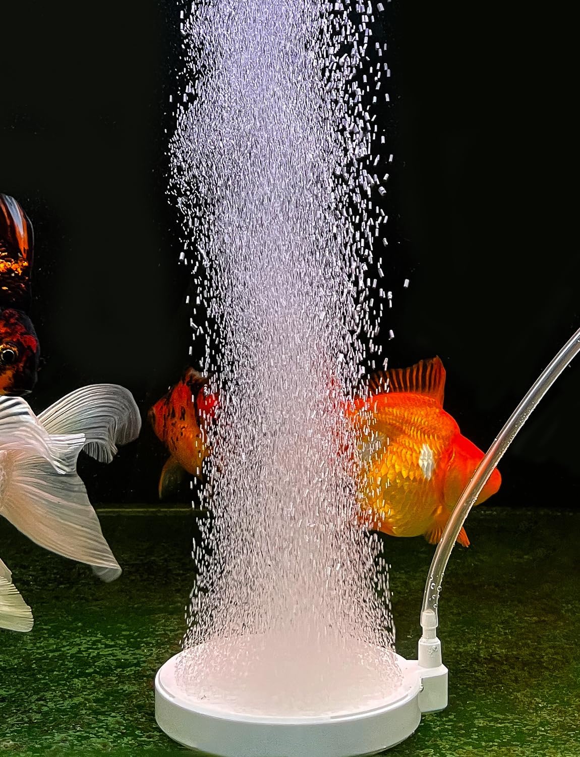 Adjustable Mini Pool Oxygen Pump with USB Port