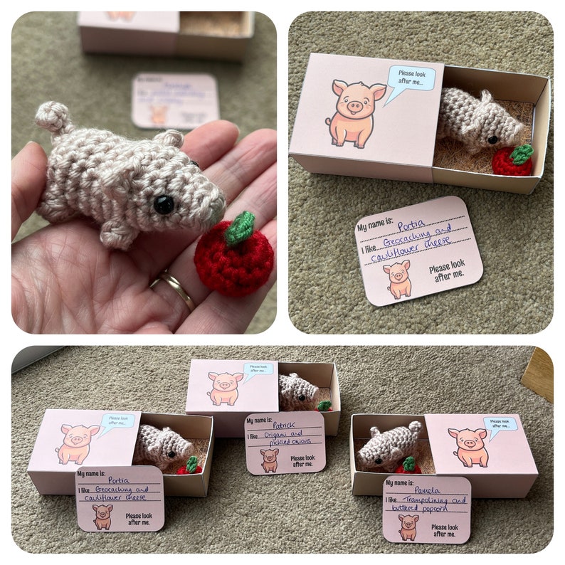 🎁No-sew Matchbox Crochet Pet Christmas Gift