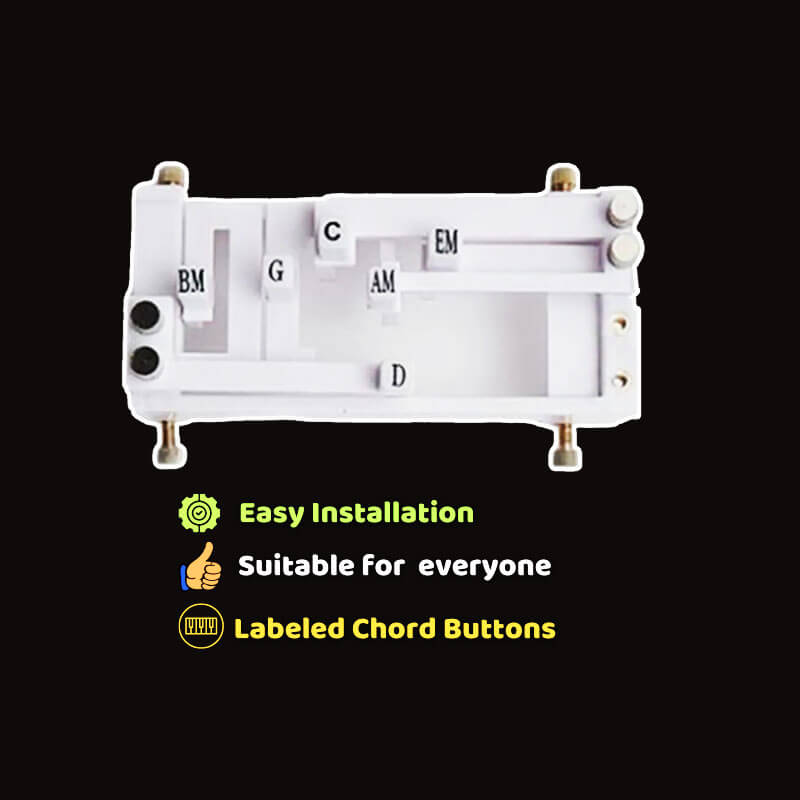 ⏰LAST DAY 50% OFF🎁 Easy Guitar Chord