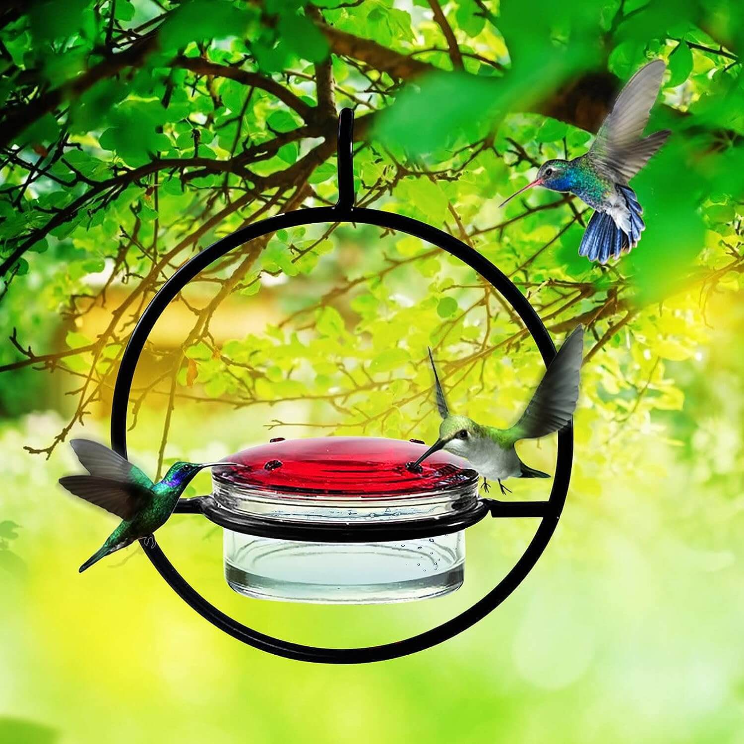 🎉 Last Day Promotion-70% OFF 🎉Hummble Slim Hummingbird Feeder