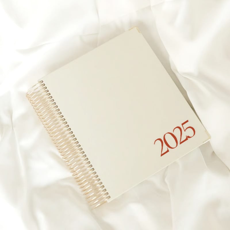 📚2025 Daily Planner❤️BUY 2 FREE SHIPPING