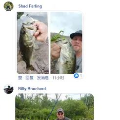 🎁New Year Hot Sale-50% OFF🐠Double Propeller Frog Soft Bait