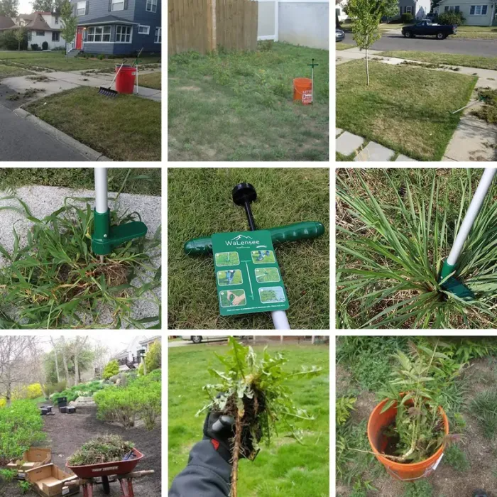 Standing Weed Puller