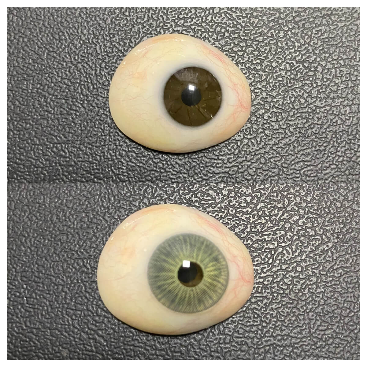 New York II Appeal Grey Brown | 1 Year-eveVeye