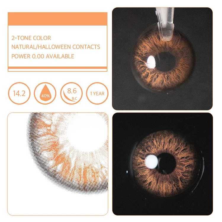 Rococo Love Letter Brown | 1 Year-eveVeye