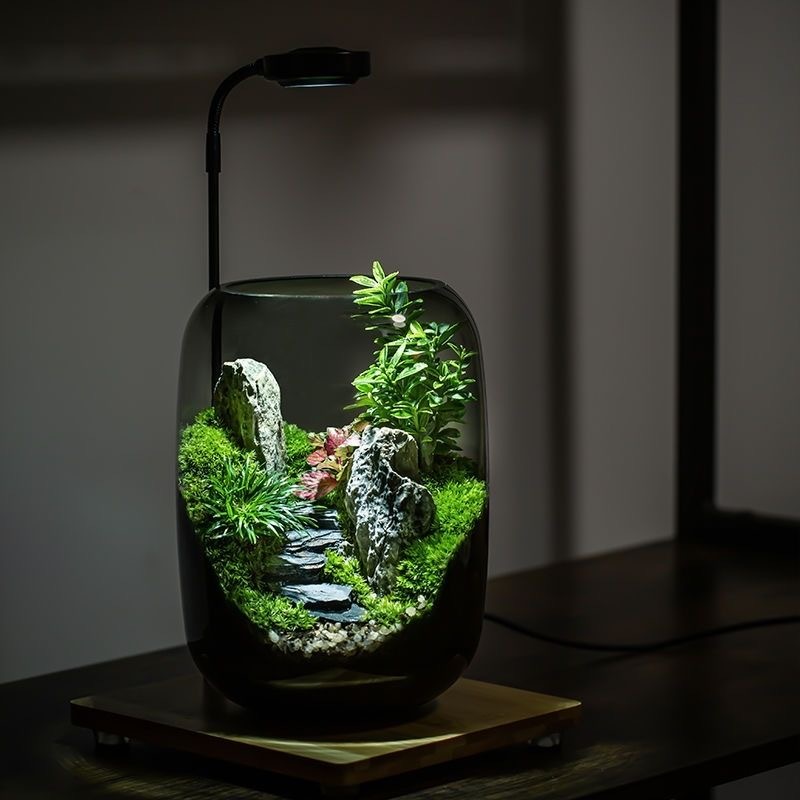 【Green Mountain】Micro landscape