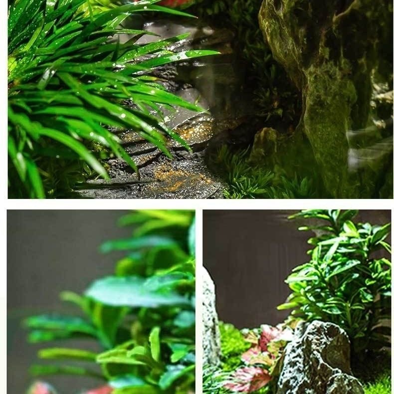 【Green Mountain】Micro landscape