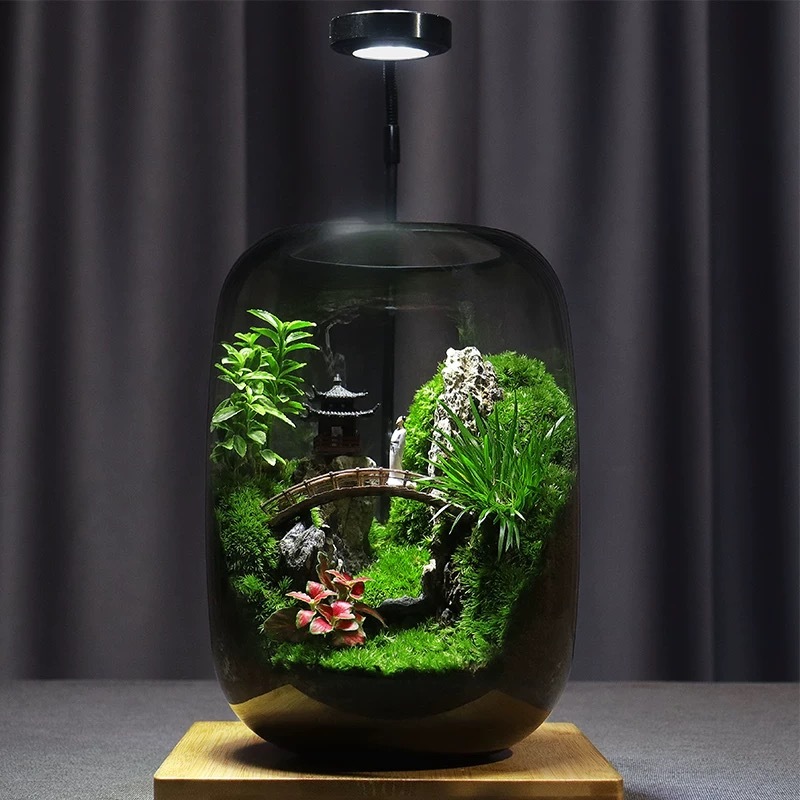 [Pavilions] Moss microecological landscape