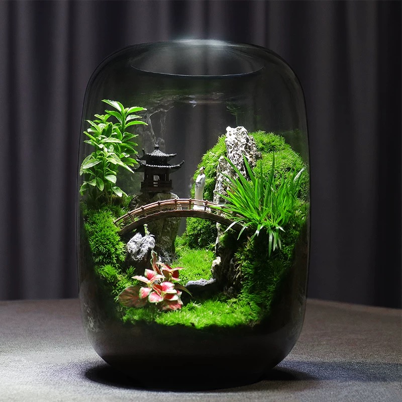 [Pavilions] Moss microecological landscape