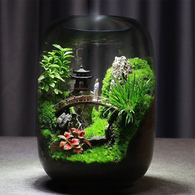 [Pavilions] Moss microecological landscape