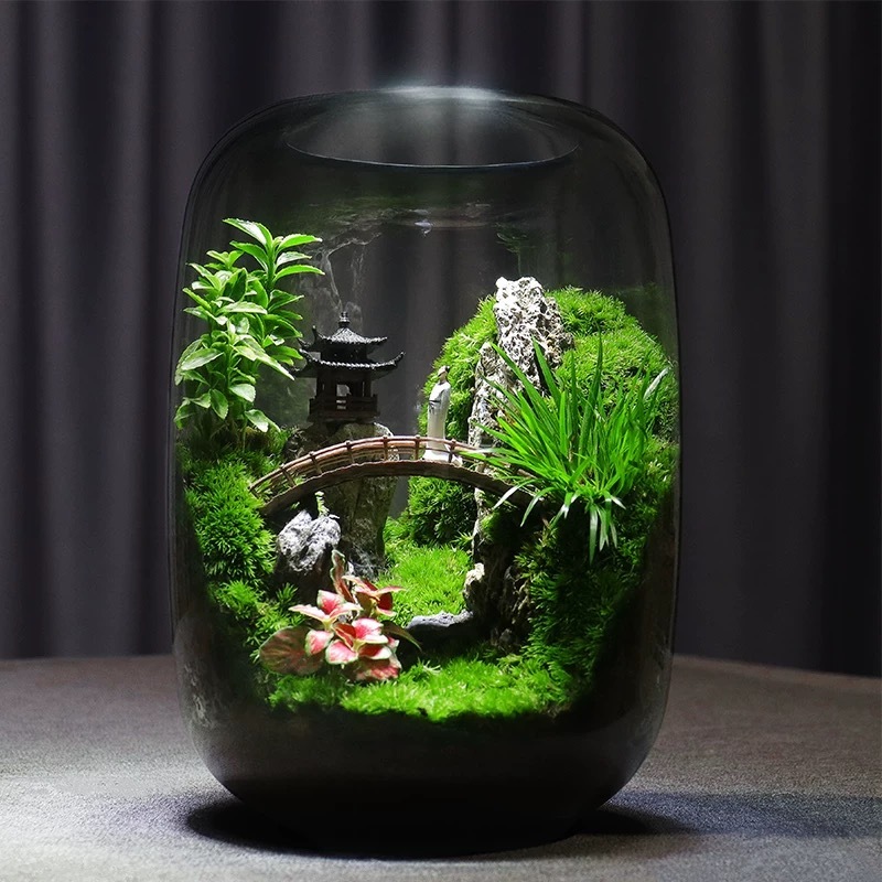 [Pavilions] Moss microecological landscape