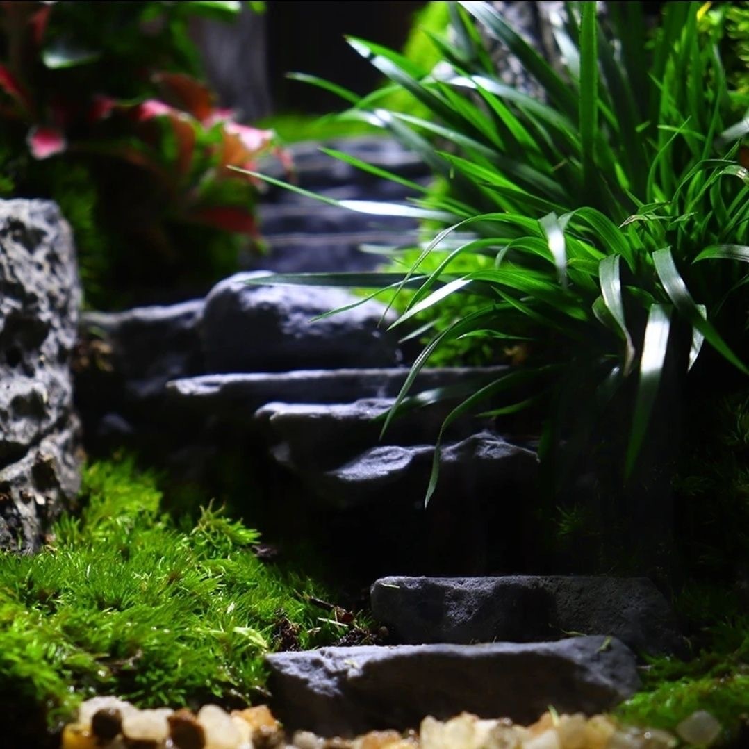 【Green Hills 】 moss micro-landscape