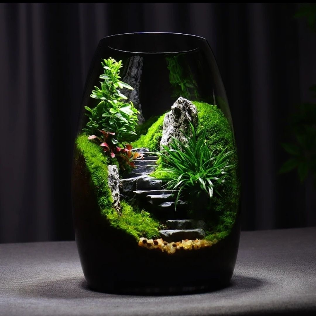 【Green Hills 】 moss micro-landscape