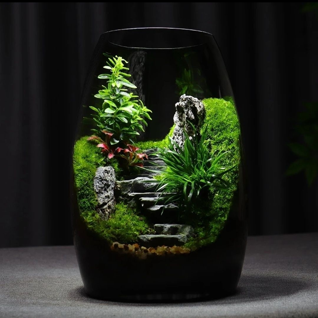 【Green Hills 】 moss micro-landscape