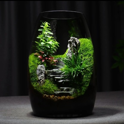 【Green Hills 】 moss micro-landscape