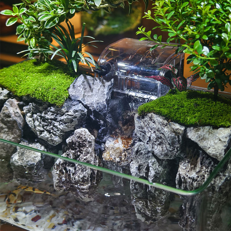 Moss running water