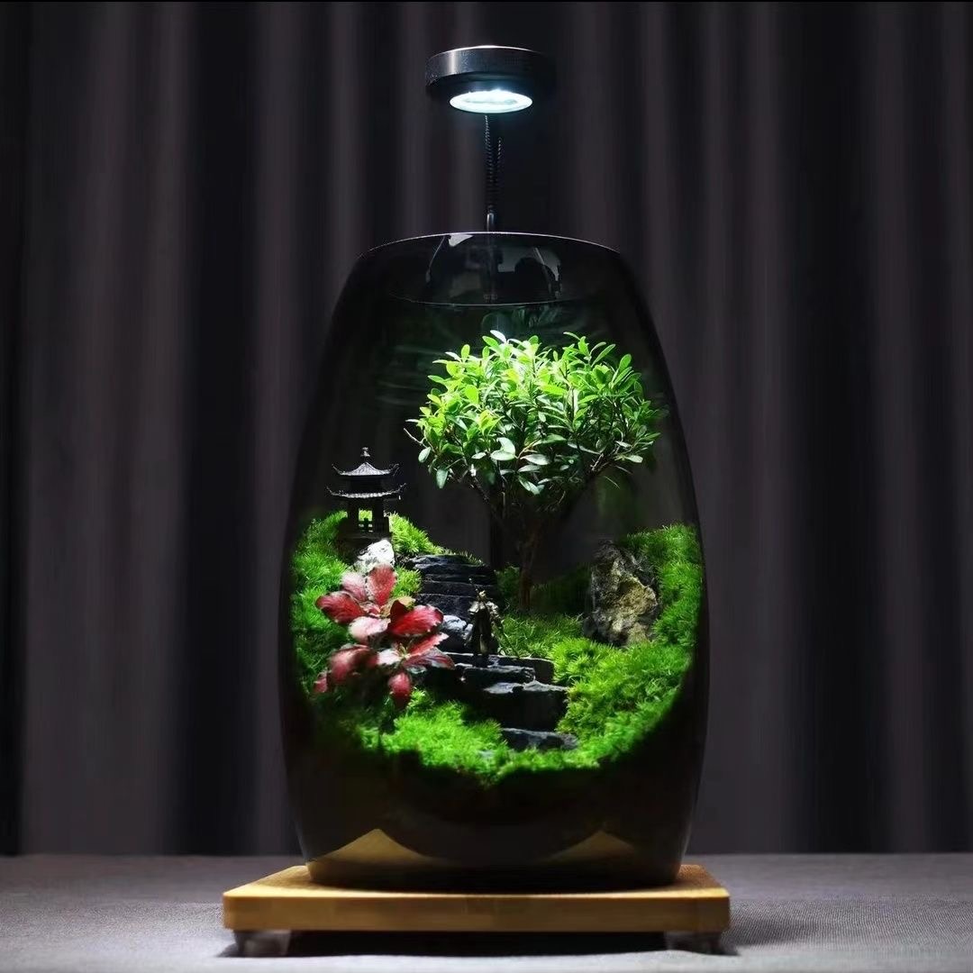 ZenFlow Tabletop micro-landscape