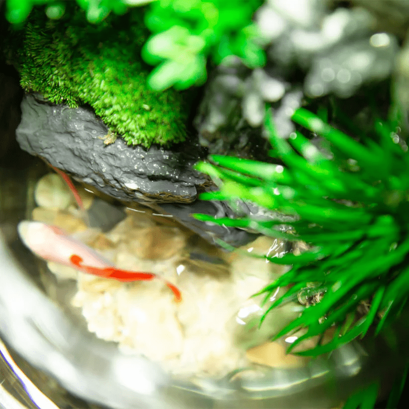 [Mini Haven] flowing water micro-landscape