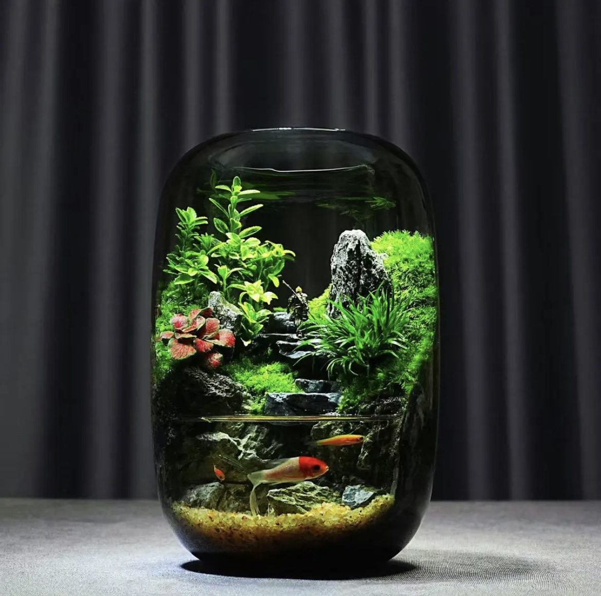 【Water clouds]】Moss microecological landscape