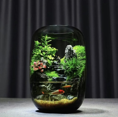 【Water clouds]】Moss microecological landscape