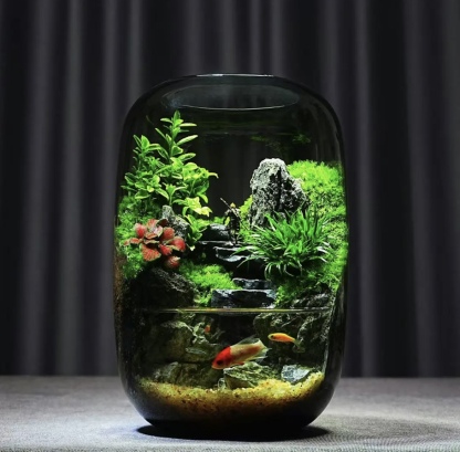 【Water clouds]】Moss microecological landscape