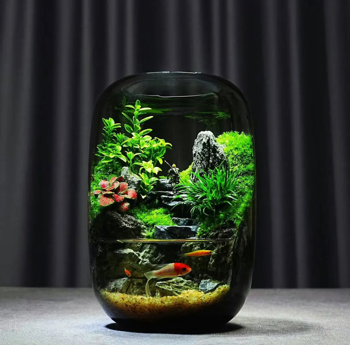 【Water clouds]】Moss microecological landscape