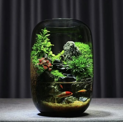 【Water clouds]】Moss microecological landscape