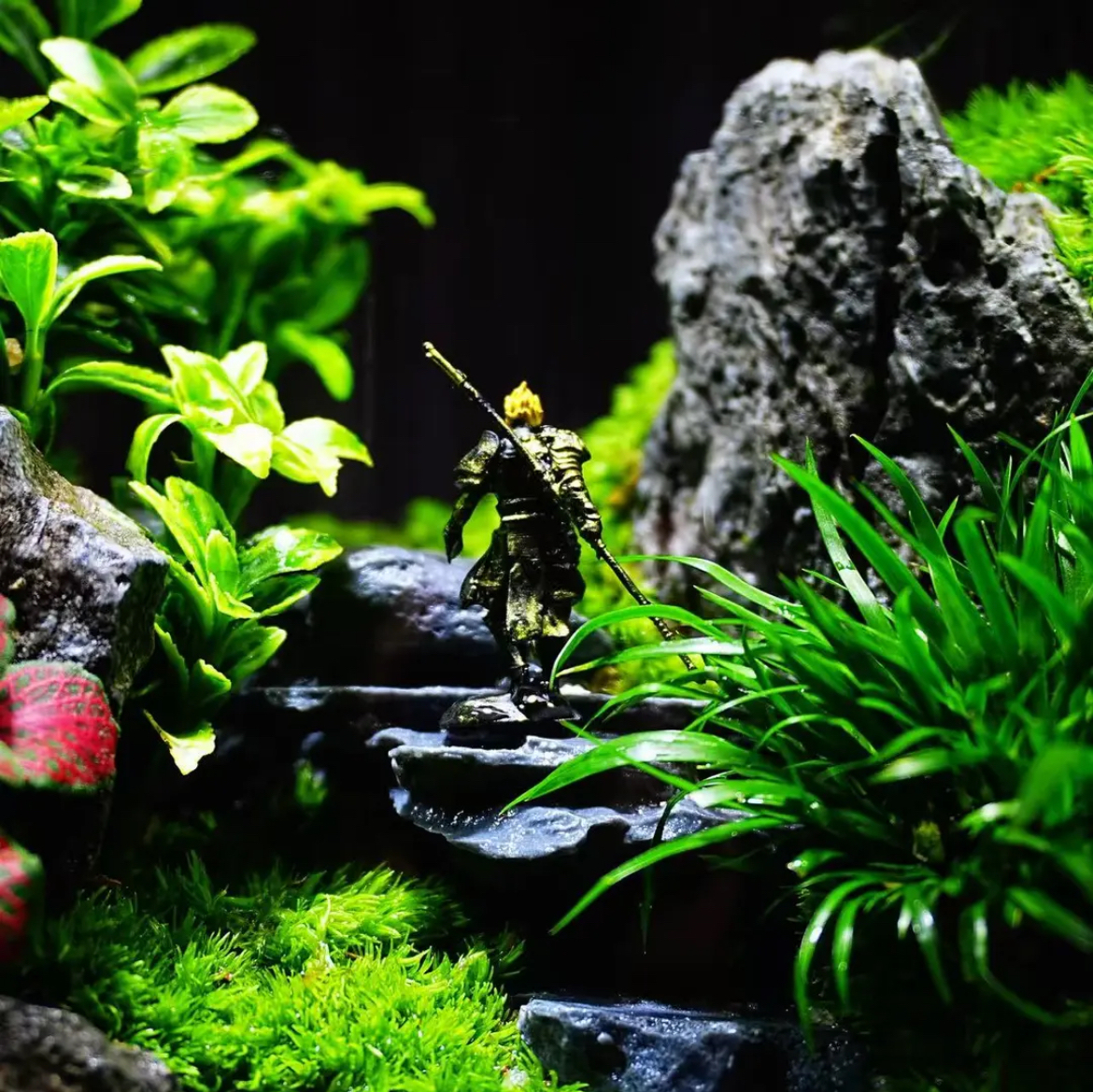 【Water clouds]】Moss microecological landscape