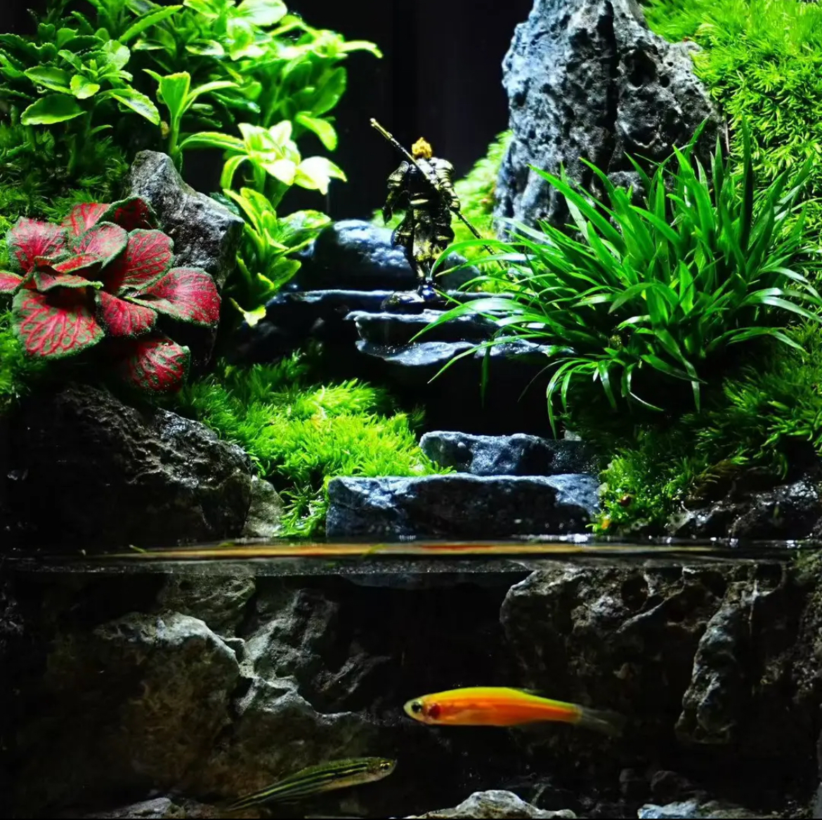 【Water clouds]】Moss microecological landscape