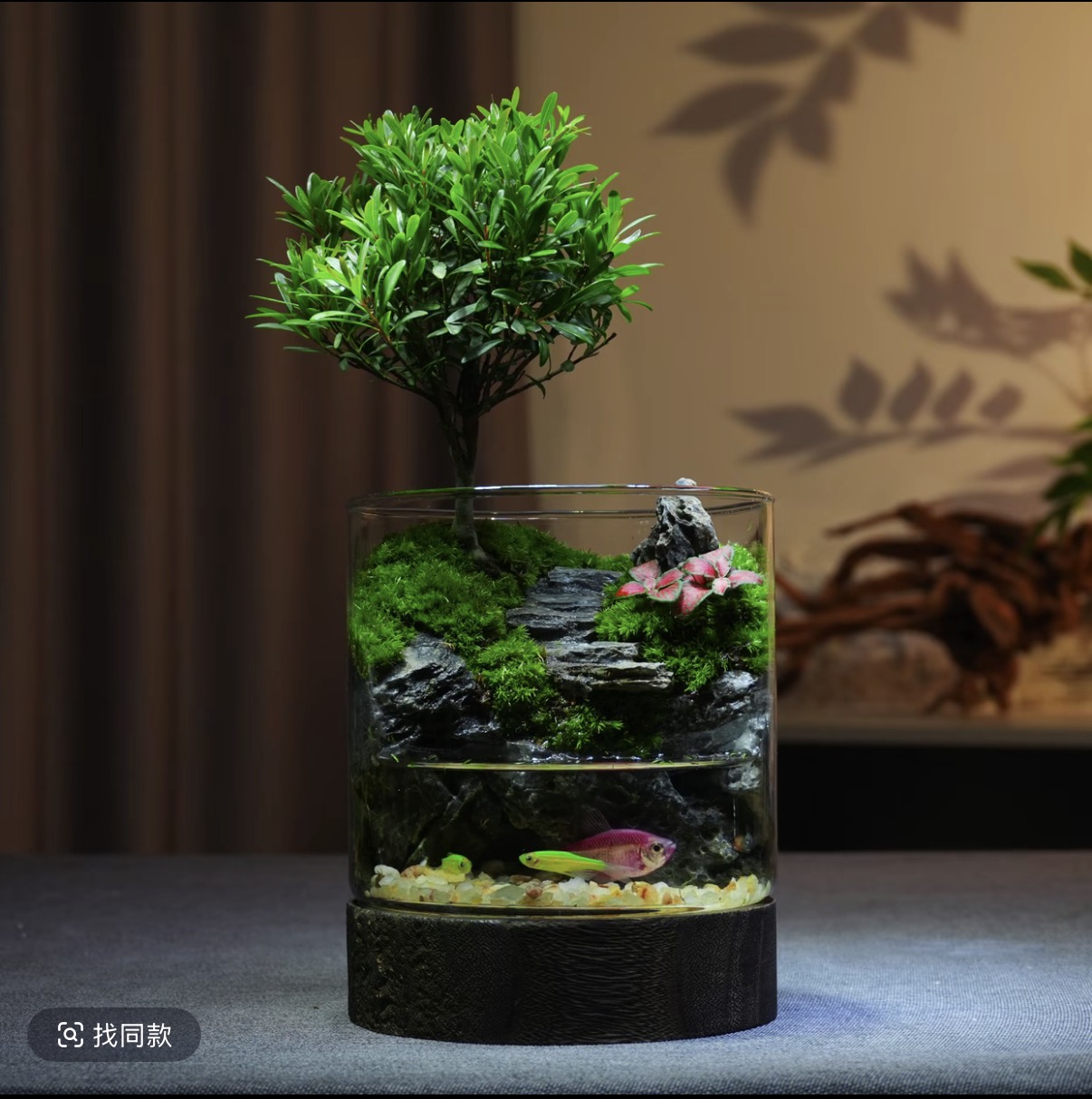 [Freedom] Miniature landscape