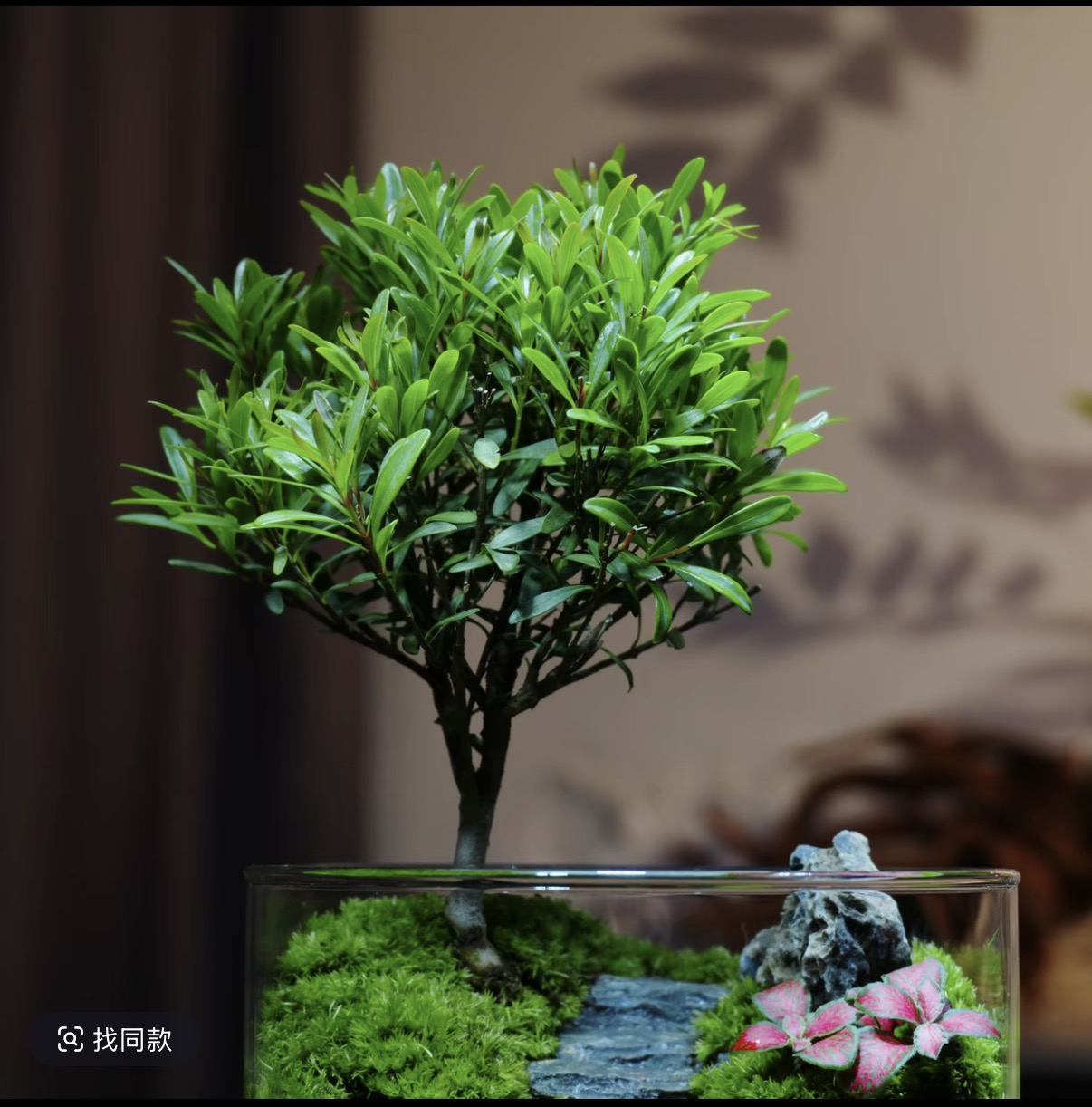 [Freedom] Miniature landscape