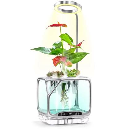 Desktop nebulizer planter
